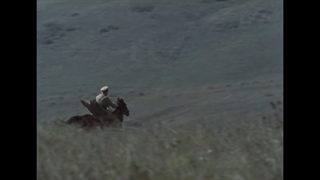 آهنگ زیبا و شنیدنی رخشاره روسی " در خانه میان بیگانه ها"