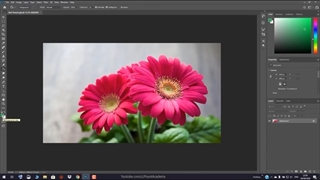 آموزش فتوشاپ از مقدماتی تا پیشرفته [درس 24] - رنگ آمیزی: سطل رنگ یا پینت باکت