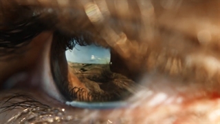 بولگاری من ترا اسنس