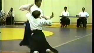 [Aikido] کمپ تابستانی آیکیدو بیرانکای 1994، قسمت اول
