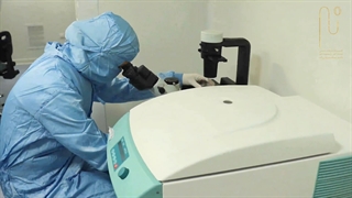 آیا رویای تکثیر موی سر با سلول های بنیادی فولیکول مو محقق شده است؟