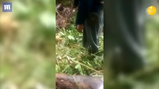 بیرون کشیدن جسد زن بیچاره از شکم مار غول پیکر