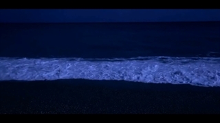 The expansion of the universe