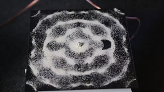 Cymatics: Chladni Plate - Sound, Vibration and Sand