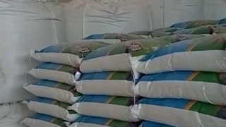 کارخانه پودر لباسشویی