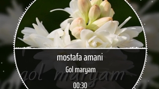 مصطفی امانی به نام گل مریم