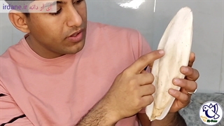 کف دریا یا پشت انکاس چیست