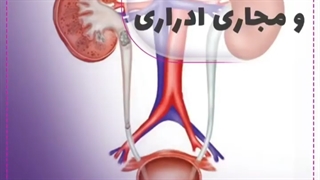 ⏹️بیماریهای کلیه و مجاری ادراری