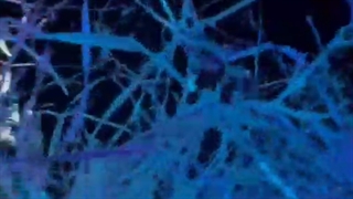 آپدیت اینستاگرام رزی:دوستت داریم ابوظبی