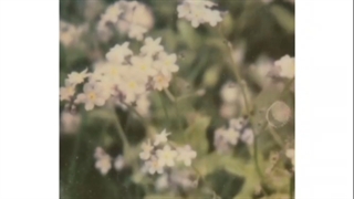 INFP به عنوان چیزای رندوم