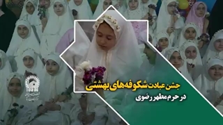 جشن عبادت شکوفه‌های بهشتی در حرم مطهر رضوی