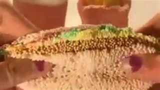 اسلایم خوراکی پارت 4