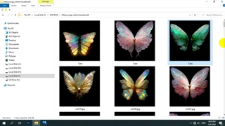 بال لایه بازPNG