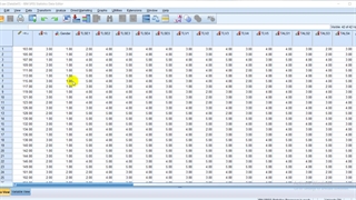 ضریب همبستگی اسپیرمن در اس پی اس اس