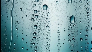 تولد بهمن ماهیا مبارک