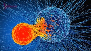 معاینات پس از شیمی درمانی