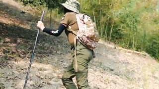 ست عصای کوهنوردی تاشو Terkking Pole