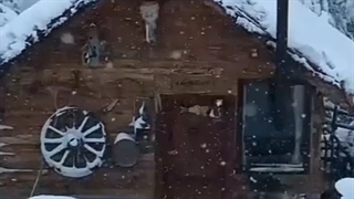 میلاد جهانبخش آهنگ غیرتی