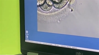 افزایش شانس بارداری با ivf