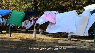 خشکشویی با آنی حامی Ani Hami