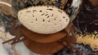 ostrich oj company wholesaler ostrich eggs