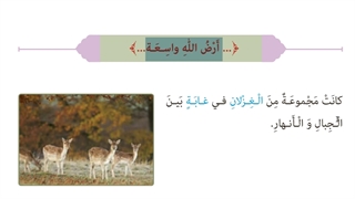 درس هفتم عربی هشتم - ترجمه و قواعد - میرزاپور