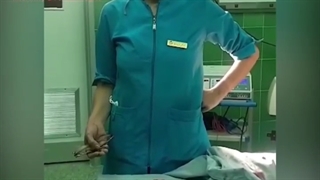 توده به این بزرگی ذیده بوذید