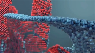 ارزانکده لباس، کفش و پوشاک با تخفیف ویژه