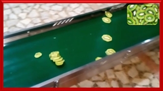 اسلایسر ورقه ساز جهت چیپس میوه - Fruits Slicer Machine