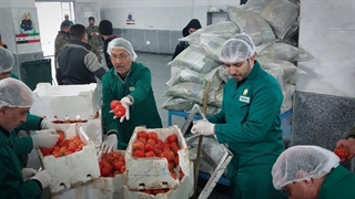 به وقت مهربانیِ امام رضا علیه‌السلام