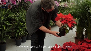 خدمات باغبانی و فضای سبز در محل و منزل با آنی حامی Ani Hami