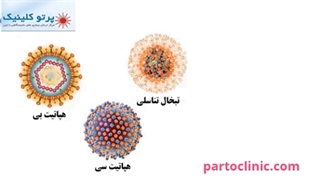 انواع بیماری های مقاربتی در زنان و مردان