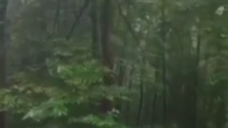 دکلمه شعر جفا از محمد خوش بین(هیچ کس آنچه که او با دل من کرد نکرد)