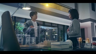 سریال کره ای همکاری مغزها 2023 قسمت ۱۲ +( Brain Cooperstion|Brain Works 2023)+زیر نویس فارسی