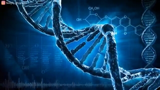 فرکانس بهبود دی ان ای و ریلکسیشن