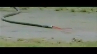 فیلم عاشقانه سلمان خان