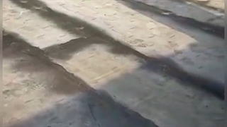 اجرای ضد ریشه بام سبز نیاوران