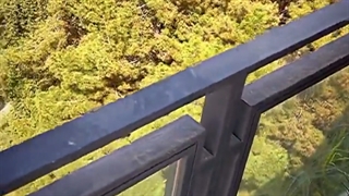 بام سبز دیباجی