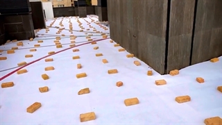 اجرای بام سبز نیاوران