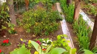 طراحی ،تامین و اجرای آبیاری اتوماتیک صادقیه