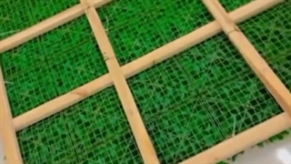 دیوار سبز به عنوان جدا کننده