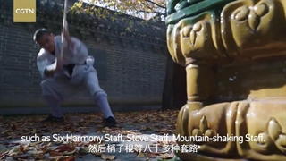 [Kungfu] [Staff] چوب دستی شائولین، سلطان سلاح های سرد کونگ فو!