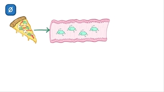 بیوشیمی اسموزیس بخش سوم (گلیکولیز)