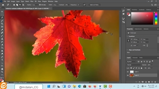 آموزش رایگان فتوشاپ قسمت 15 Photoshop حذف پس زمینه