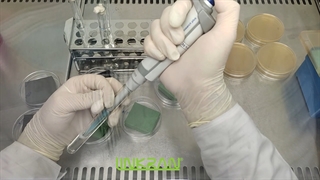 عایق الاستومری آنتی باکتریال برای پروژه های بیمارستانی