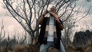 اجرای هارمونیکا و پن فلوت