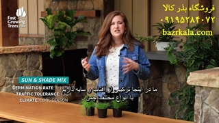 3 بذر چمن پرطرفدار !!!