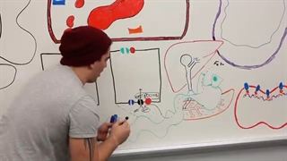 ninja nerd هماتولوژی قسمت سوم (اریتروپوئز)