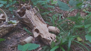 فیلم کوتاه تصویر نبودن