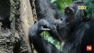 حیوان ؛ 2022 ؛ فصل 2 ؛ قسمت 1